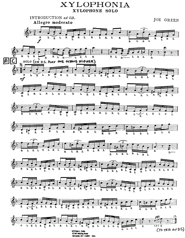 Xylophonia: Xylophone Solo with Band